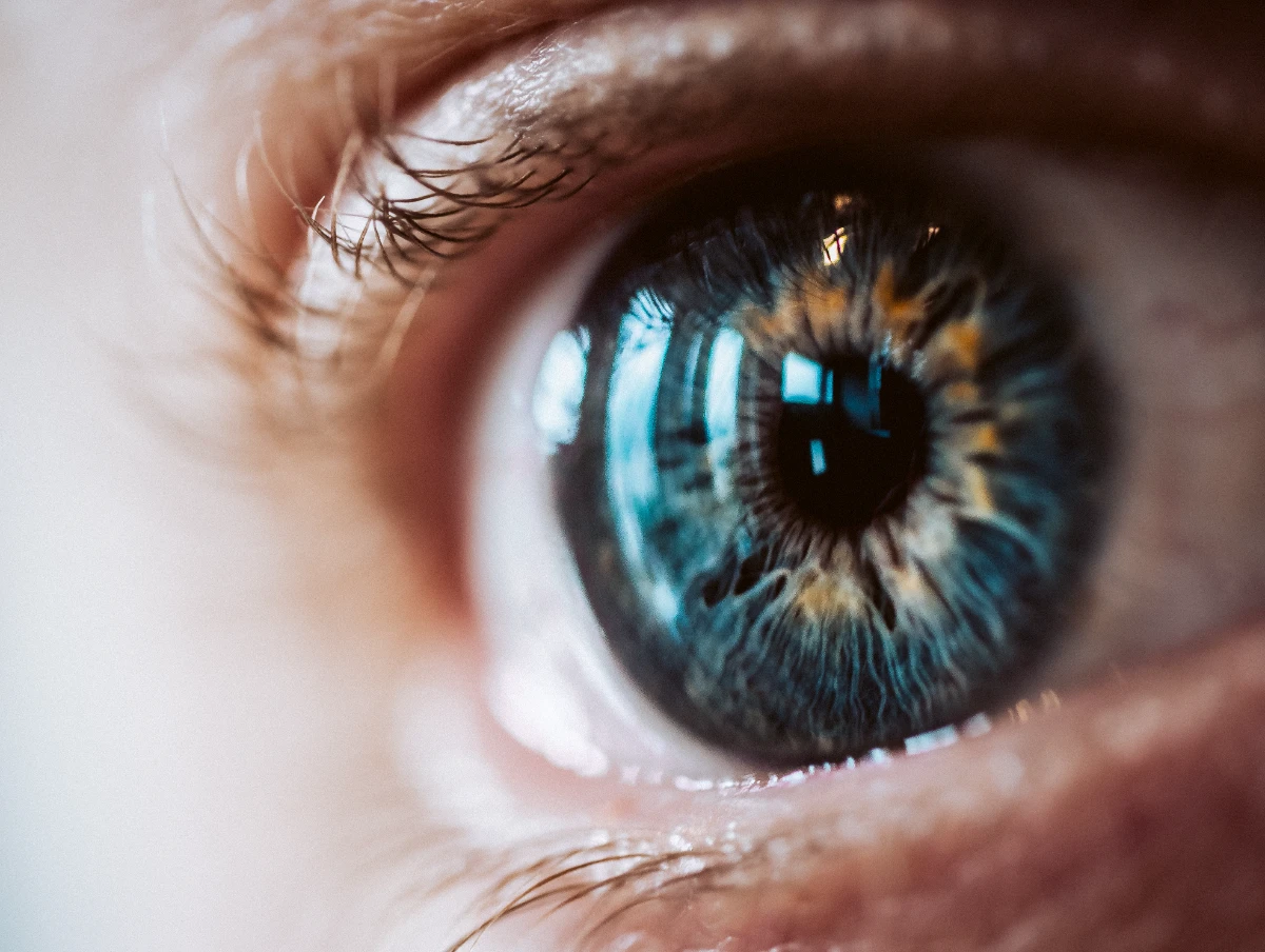 corneal transplant